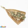 DB CartThistleBleached WL