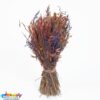 DB SHEAFDHARVEST stWL